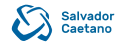 logo salvador caetano